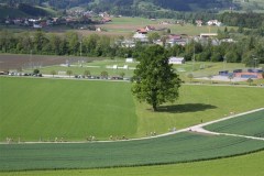 IMG_4511