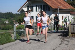 IMG_4586