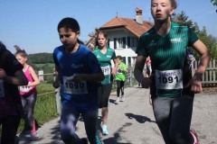 IMG_4643