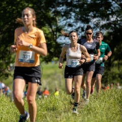 1_3Ponts-504