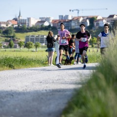 1_3Ponts-6