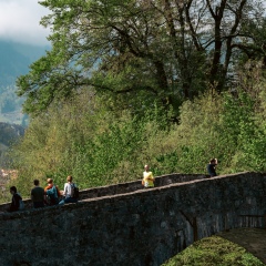 DSC_3446-120