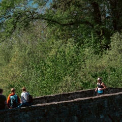 DSC_3462-127