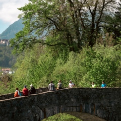 DSC_3480-137
